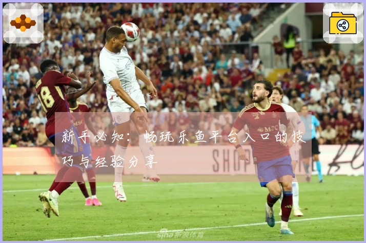 新手必知：畅玩乐鱼平台入口的技巧与经验分享